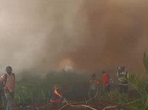 Ratusan Hektare Lahan Gambut di Rantau Panjang Muaro Jambi Terbakar