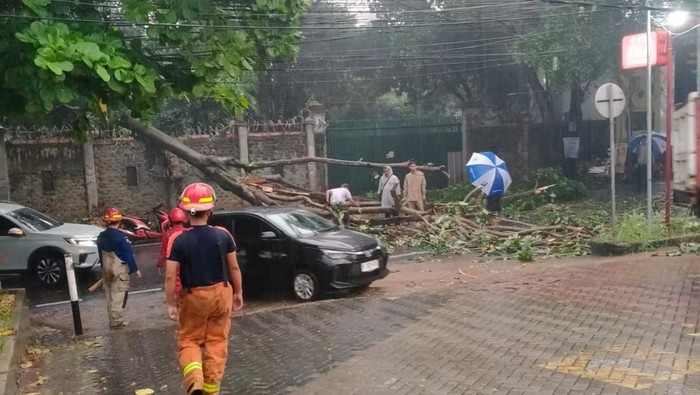 Akibat Ganasnya Angin Kencang, Mobil Tertimpa Pohon Raksasa di Bojongsari Depok