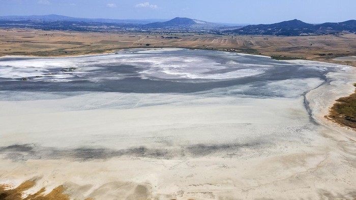 The olive grove of Dimitris Papadakis is seen from above in the village of Nea Silata at Halkidiki peninsula, northern Greece, Aug. 19, 2024. A severe drought in northern Greece, worsened by successive heatwaves and low rainfall, is causing water shortages that are threatening agriculture, drying up lakes, and stressing local communities dependent on tourism. (AP Photo/Giannis Papanikos)