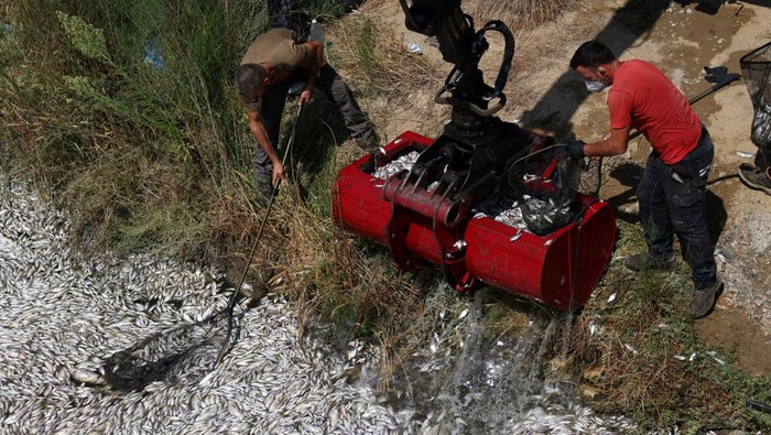A man sits in a boat as tonnes of dead fish have washed up in the port of Volos, Greece, August 28, 2024. REUTERS/Alexandros Avramidis     TPX IMAGES OF THE DAY