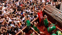 Tujuh truk bermuatan 120 ton tomat matang dan berair melaju melewati jalan utama kota itu sementara para pengunjung yang mengenakan pakaian putih saling melempar tomat. REUTERS/Eva Manez 
