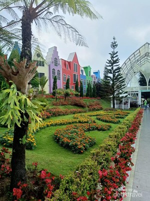 Jalan-jalan ke Flora Wisata Santerra De Laponte, Melihat Aneka Bunga Cantik