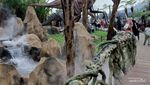 Jalan-jalan ke Flora Wisata Santerra De Laponte, Melihat Aneka Bunga Cantik
