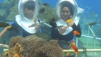 Mengajak anakku untuk melihat keindahan di bawah laut dan sekaligus menanam baby coral. Yang ini ada di Teluk Tamiyang. 