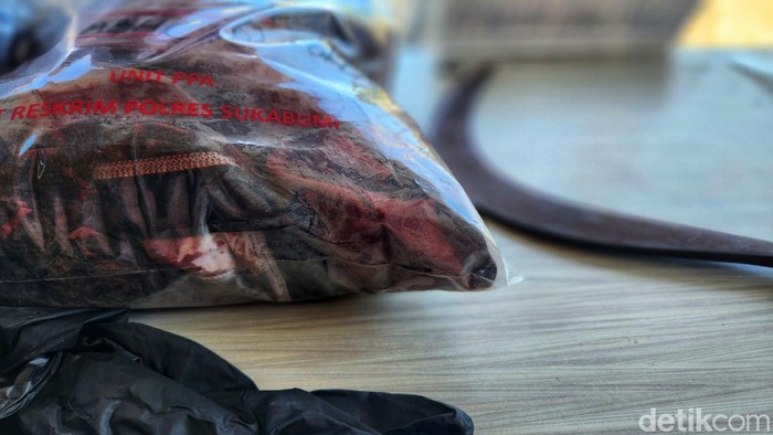 Barang bukti berupa celurit dan seragam penuh darah disita polisi.