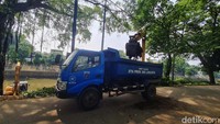Tanah sedimentasi dari Kali Ciliwung diangkut dengan menggunakan truk.  