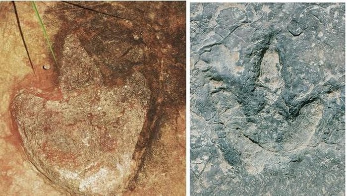 Jejak kaki dinosaurus di Brasil dan Kamerun yang diteliti Southern Methodologist University.