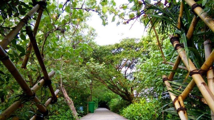 Kawasang Hutan Mangrove Wonorejo