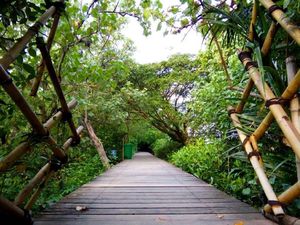 Pengunjung Ekowisata Mangrove Wonorejo Melonjak hingga 60% Saat Libur Nataru