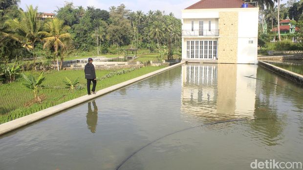 Kolam ikan koi di Kampung Nila Kawali