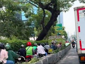 Viral Pemotor Mau Cepat Terobos Jalur Sepeda Thamrin Malah Terjebak