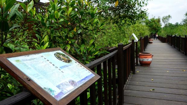Papan edukasi di wisata mangrove wonorejo