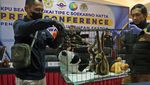 Penyelundupan Primata Langka Digagalkan, WN Mesir Jadi Tersangka