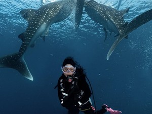 Mau Coba Berenang dengan Hiu Paus? Kenali Dulu Karakteristiknya Yuk