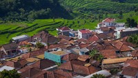 Desa Sukasari, Kecamatan Tanjungsari, Kabupaten Sumedang dikenal sebagai salah satu sentra penghasil komoditas tembakau. Desa tersebut bahkan didaulat menjadi kawasan Agrowisata kampung bako atau tembakau.  