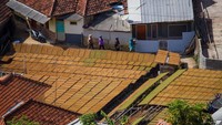 Selama musim kemarau, warga desa bekerja mengolah daun tembakau dan menjumurnya di jalan-jalan, atap-atap, dan teras-teras.  