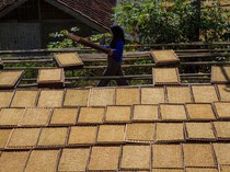 Keluh Petani Aturan Kemasan Rokok Polos Bikin Harga Jual Tembakau Ambruk