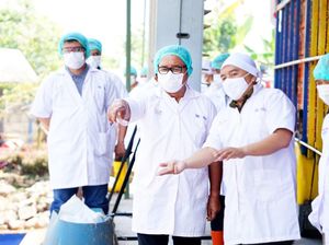 Bansos Telur dan Ayam Dimulai Lagi buat 1,4 Juta Penerima