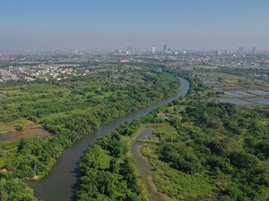 Oase Mangrove Gunung Anyar, Wisata Hijau di Tengah Kota Surabaya