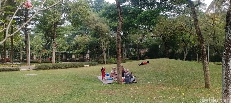 Taman Tabebuya di Jagakarsa, Jakarta Selatan