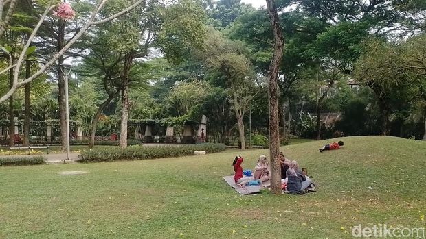 Taman Tabebuya di Jagakarsa, Jakarta Selatan