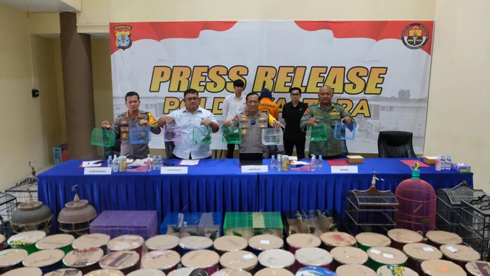 Polda Kaltara saat merilis kasus perdagangan satwa dilindungi di wilayah Tarakan. (dokistimewa)