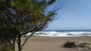 Pesona Pantai di Bantul yang Mantul, Mantap Betul