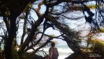 Pesona Pantai di Bantul yang Mantul, Mantap Betul