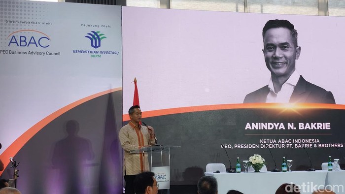 Anindya Bakrie Kadin