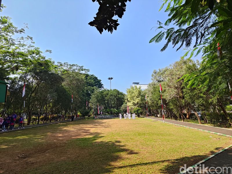 Benchmark dan Kamera Asus Zenfone 11 Ultra