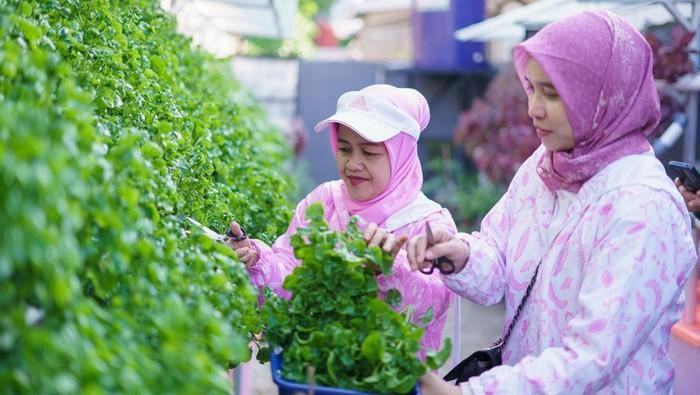 Urban Farming