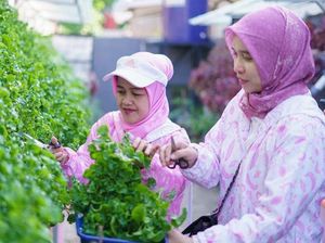 Awalnya TPS Liar, Kini Jadi Tempat Urban Farming Berkat Peran Ibu-ibu