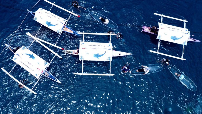 Foto aerial sejumlah wisatawan melihat Hiu Paus (Rhincodon Typus) dengan menaiki perahu di objek wisata Hiu Paus Desa Botubarani, Kabupaten Bone Bolango, Gorontalo, Sabtu (31/8/2024). Dinas Pariwisata Provinsi Gorontalo menggelar Festival Hiu Paus untuk pertama kalinya sebagai sarana promosi ekosistem pariwisata yang terintegrasi dengan kelestarian lingkungan berkelanjutan. ANTARA FOTO/Adiwinata Solihin/wpa.