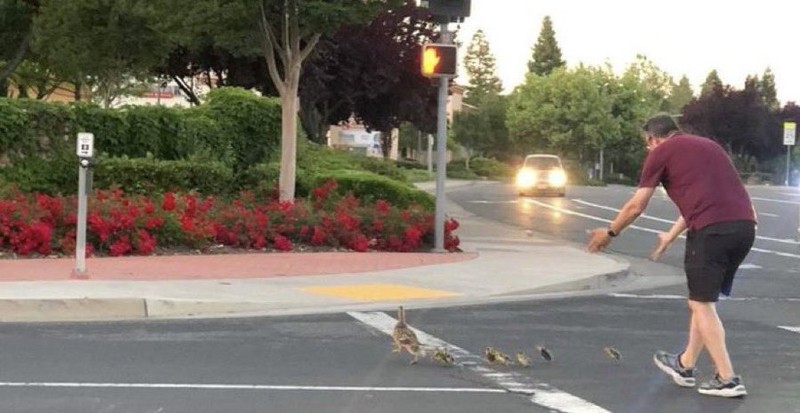 Foto diambil sebelum tragedi terjadi