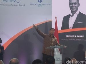 2 Proyek Besar Prabowo Diungkap Sang Adik