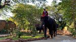 KBS Kenalkan Anak Gajah Rocky Balboa ke Pegunjung