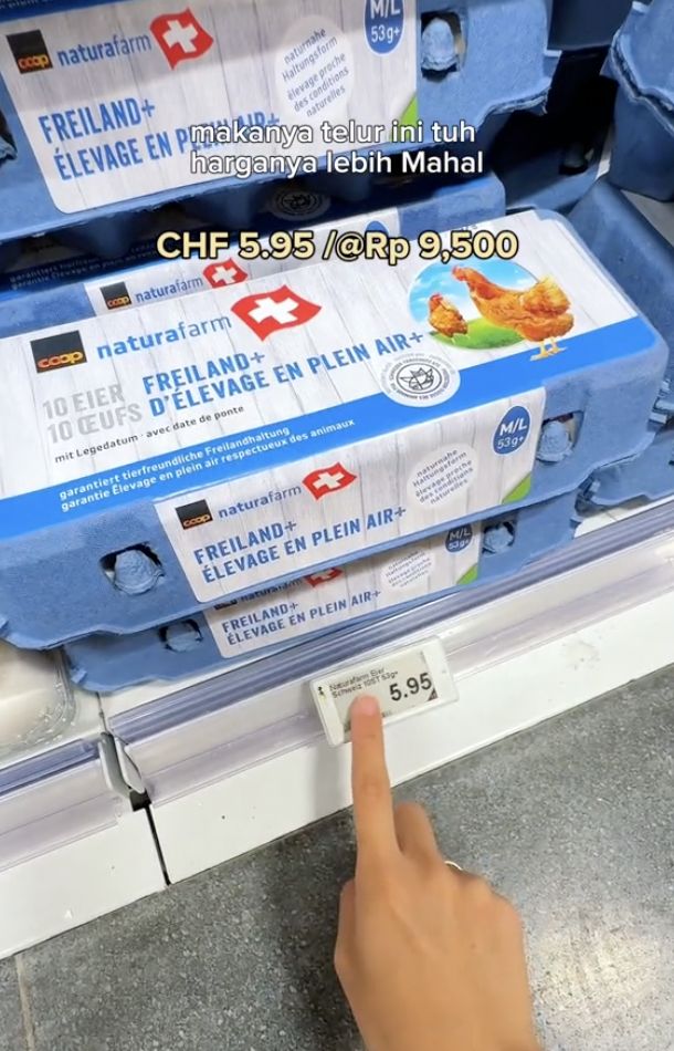 Telur Ayam di Swiss Punya Kasta, Makin Mahal Kalau Ayamnya Hidup Bahagia!