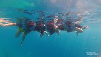 Snorkeling di Manta Point.