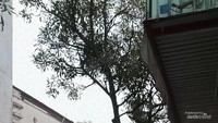 Menikmati kehangatan Jalan Braga.