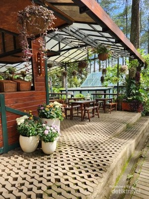 Ini Orchid Forest, Rekomendasi Tempat Wisata Keluarga di Lembang