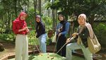 Ini Orchid Forest, Rekomendasi Tempat Wisata Keluarga di Lembang