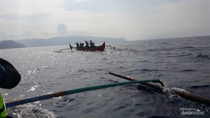 Lumba-lumba Teluk Kiluan yang Bikin Penasaran