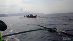 Lumba-lumba Teluk Kiluan yang Bikin Penasaran