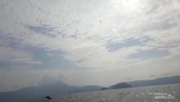 Melambaikan tangan dari atas perahu