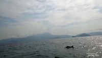Melambaikan tangan dari atas perahu