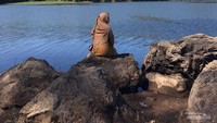 Situ Patenggang, Ciwidey, Bandung, Jawa Barat