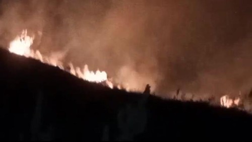 Bukit Anak Dara di Kecamatan Sembalun, Lombok Timur, Nusa Tenggara Barat (NTB), terbakar pada Sabtu (31/8/2024) malam. (Foto: Ahmad Viqi/detikBali)