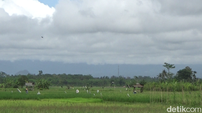 Gunung Semeru, Lumajang.