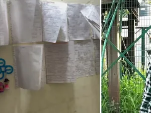 Keren! Remaja Ini Tetap Rajin Belajar Meski Sambil Jualan Samosa