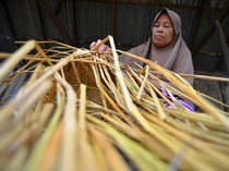 Melihat Pembuatan Tas Anyaman Berbahan Daun Linsiang di Sumbar